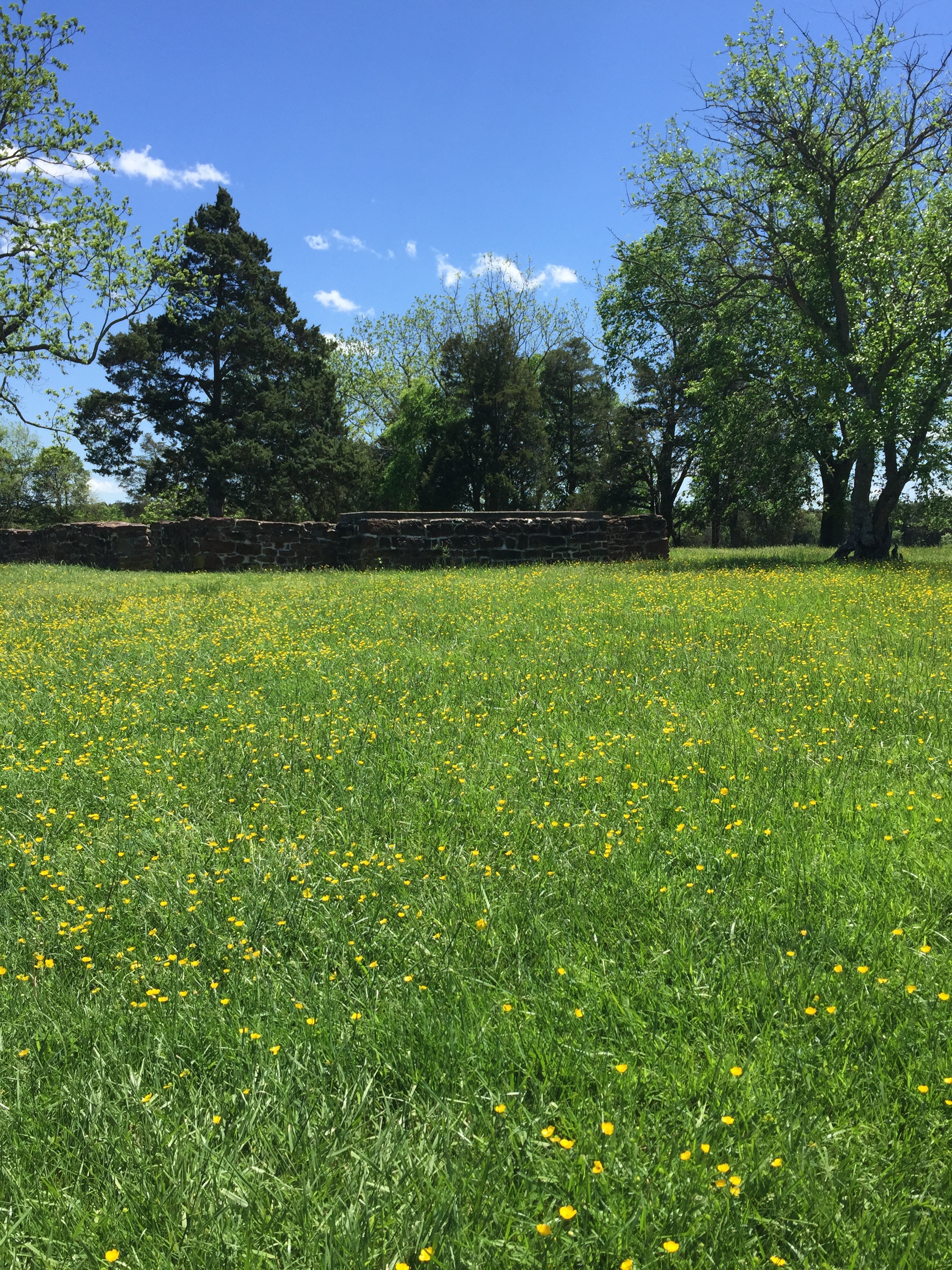 Buttercups and Cannon:  Day 2 – If These Stones Could Talk