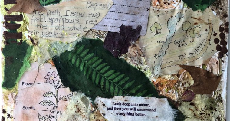 Nature Journaling: A Valuable Teaching Tool